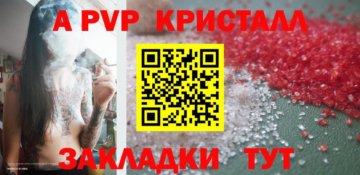 Alfa_PVP СК КРИС Белово